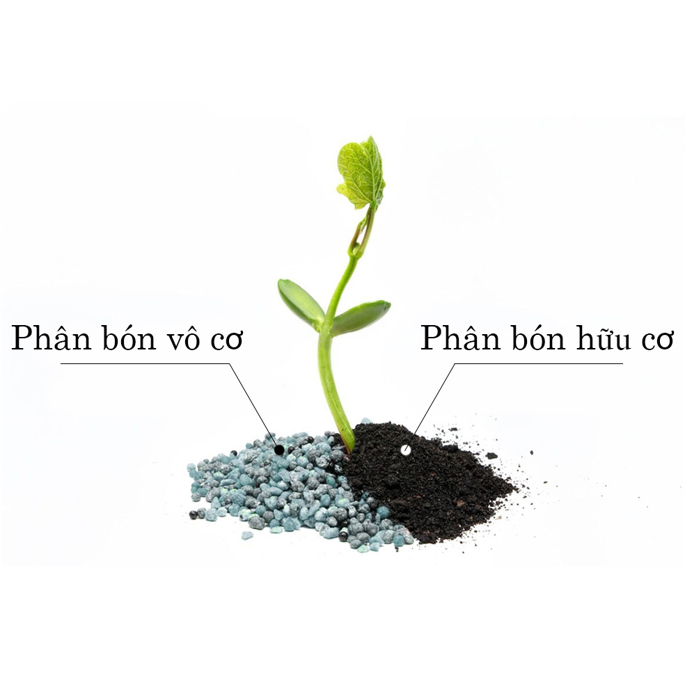 So sánh phân bón hữu cơ và phân bón vô cơ